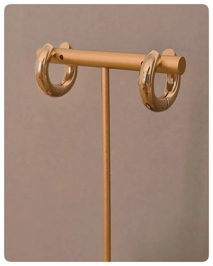 Zarcillo Argolla Moderna Gold