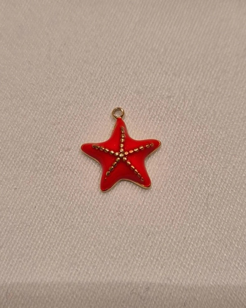 Estrella de Mar Naranja