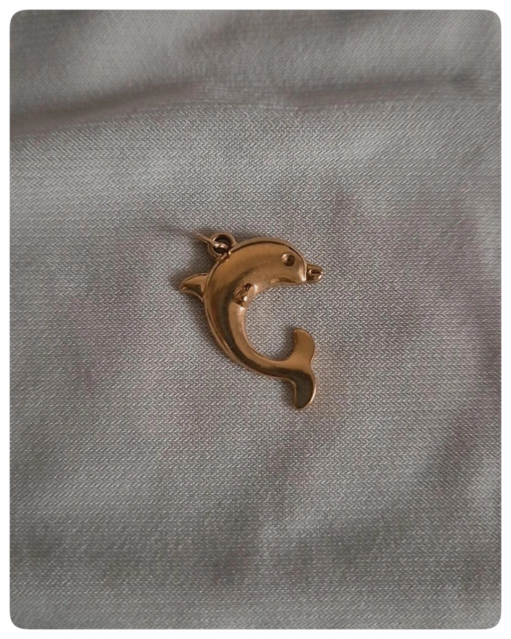 Delfin