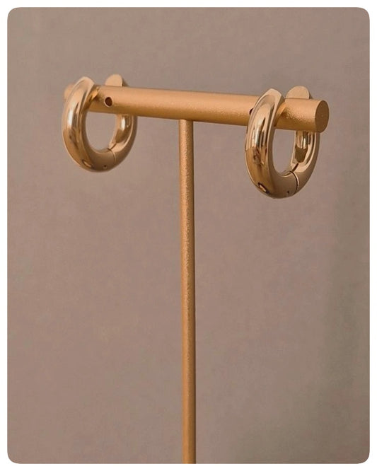 Zarcillo Argolla Moderna Gold