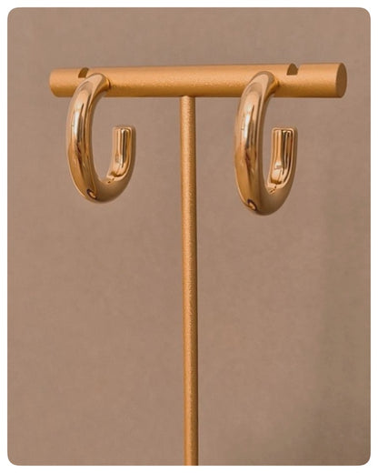 Zarcillo Óvalo Elegante