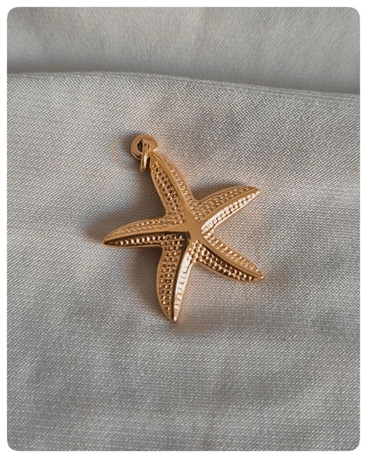Estrella de mar